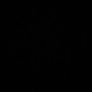 Meet your Posher, Hayley